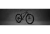 Rower górski Specialized S-Works Epic Hardtail XTR 2020